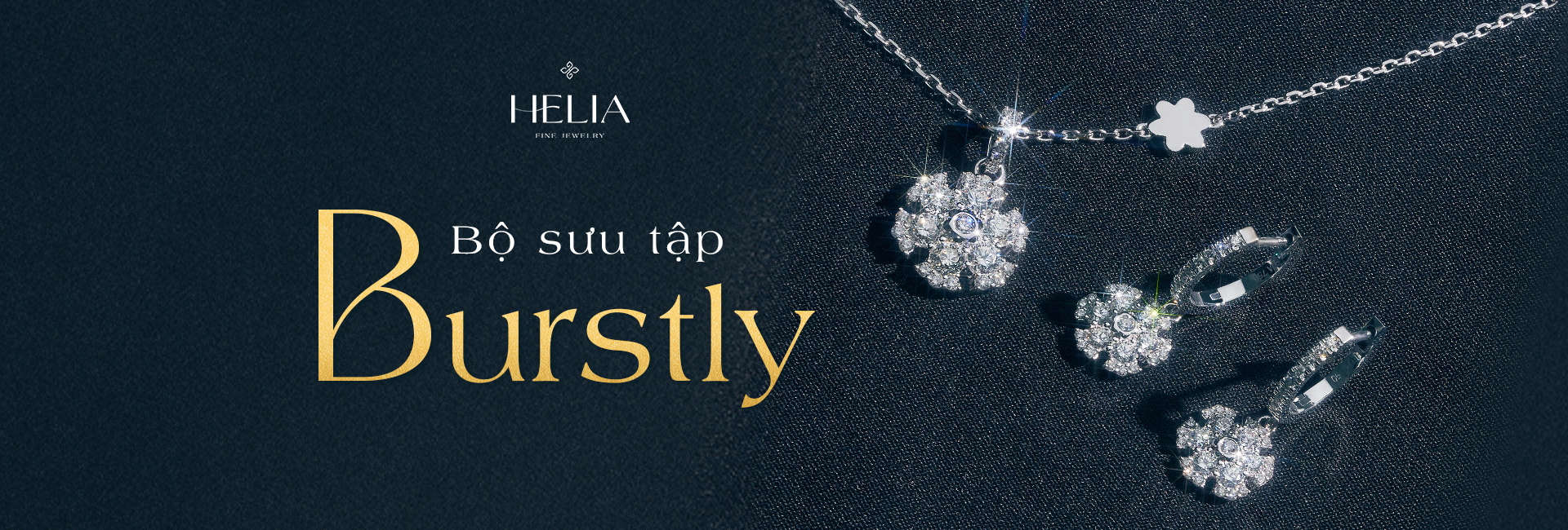 Banner Bộ sưu tập Burstly